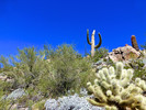 photo thumbnail #4