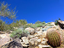 photo thumbnail #7