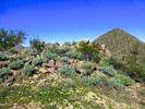 photo thumbnail #10