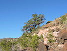 photo thumbnail #5