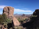 photo thumbnail #9