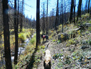 photo thumbnail #5
