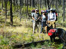 photo thumbnail #6