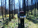photo thumbnail #7