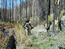 photo thumbnail #11