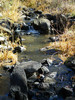 photo thumbnail #13