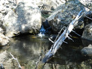 photo thumbnail #14