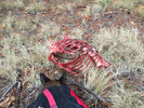 photo thumbnail #1