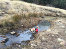 photo thumbnail #5