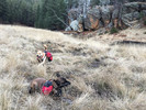 photo thumbnail #7