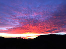 photo thumbnail #13