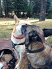 photo thumbnail #14