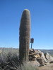 photo thumbnail #4