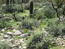 photo thumbnail #6