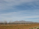 photo thumbnail #13