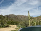 photo thumbnail #14