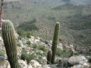 photo thumbnail #15