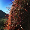 photo thumbnail #6