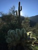photo thumbnail #7