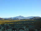 photo thumbnail #2