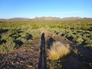 photo thumbnail #3