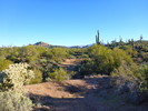 photo thumbnail #6