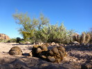 photo thumbnail #7