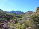 photo thumbnail #13