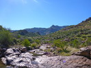 photo thumbnail #14