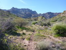 photo thumbnail #15