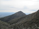 photo thumbnail #3