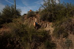 photo thumbnail #14