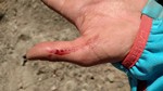 photo thumbnail #1