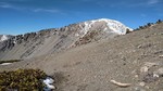 photo thumbnail #15