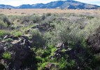 photo thumbnail #1
