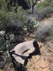 photo thumbnail #9