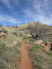 photo thumbnail #2