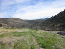 photo thumbnail #5