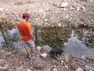 photo thumbnail #6