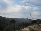 photo thumbnail #10