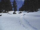 photo thumbnail #10