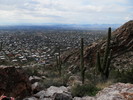 photo thumbnail #4