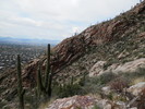 photo thumbnail #9