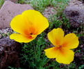 photo thumbnail #10