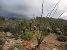 photo thumbnail #2
