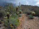 photo thumbnail #3