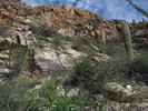 photo thumbnail #11