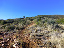 photo thumbnail #5