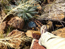 photo thumbnail #15