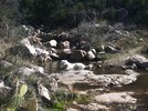 photo thumbnail #5